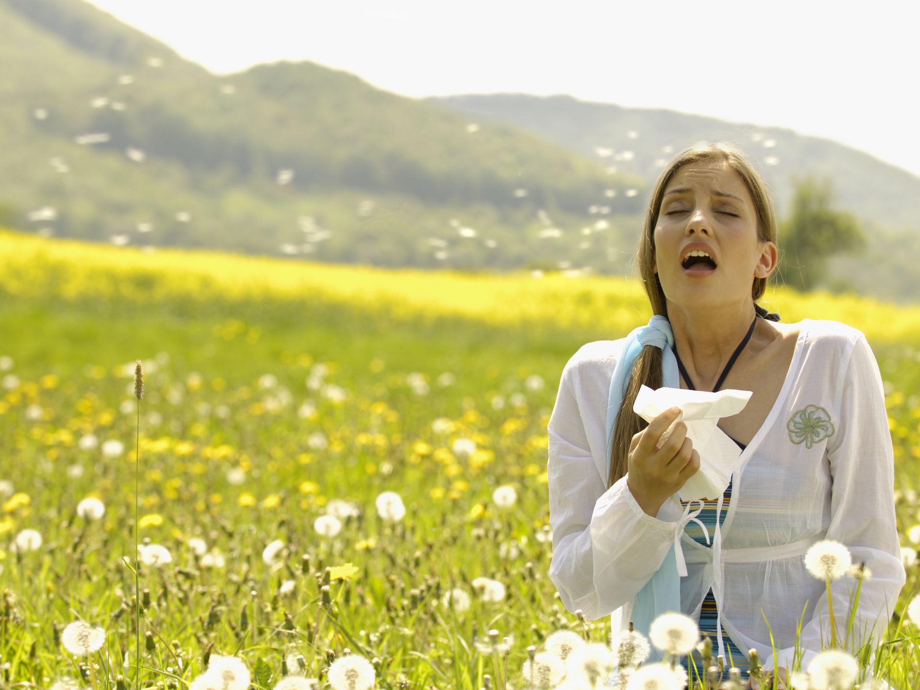 Home Allergy, Asthma & Sinus Center, P.C.