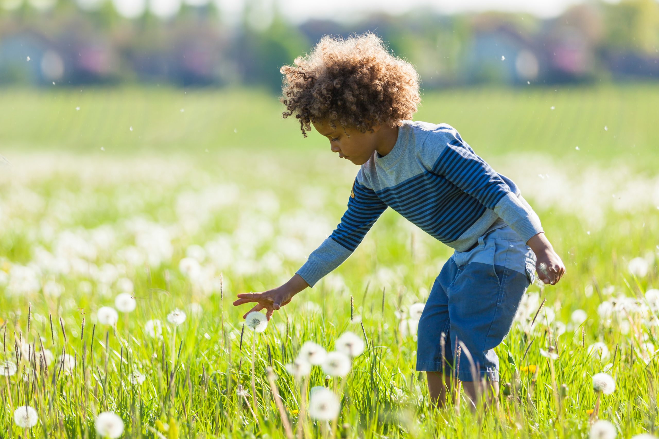 Home - Allergy, Asthma & Sinus Center, P.C.