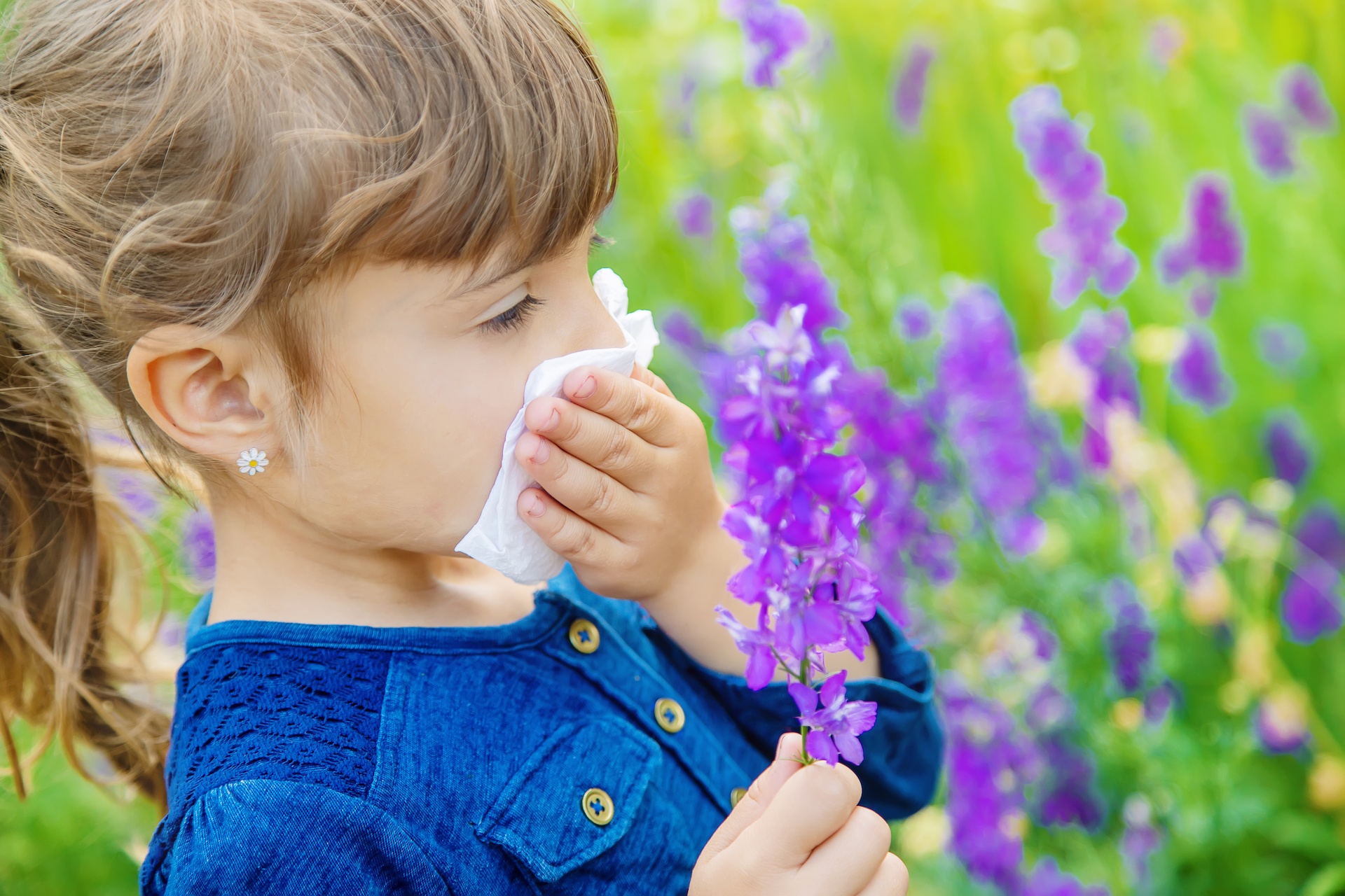 The 5 Most Common Allergies Understanding and Managing Them Allergy